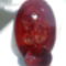 Kép2521