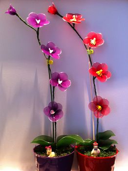 Orchideák