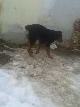 20150103_142149
