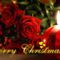 merry-christmas-flower-wallpaper