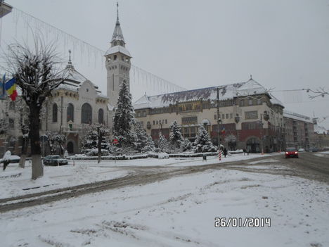 SAM_1095