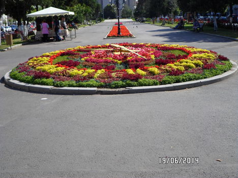 SAM_2940
