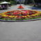 SAM_2940