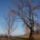 Oreg_nyarfa_a_to_mellett_1487426_2241_t