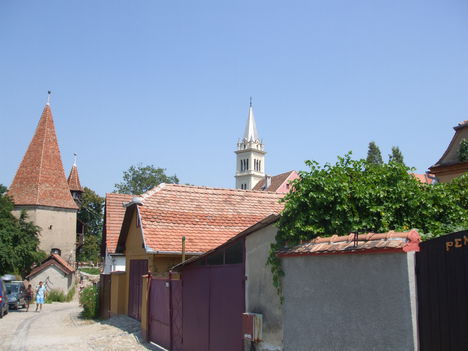 DSCF1671