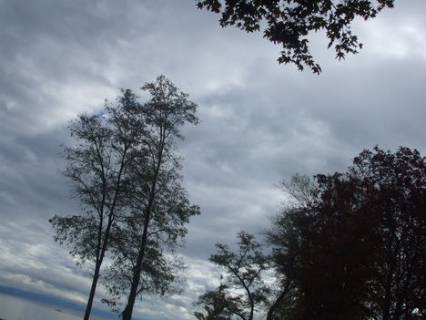 DSCF2132