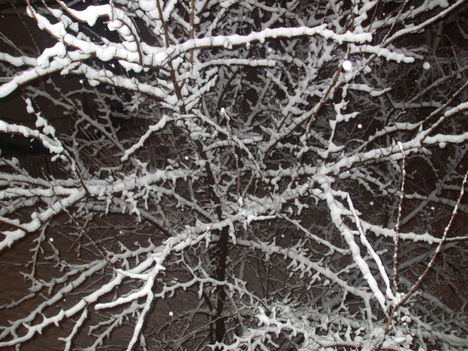 DSCF2164