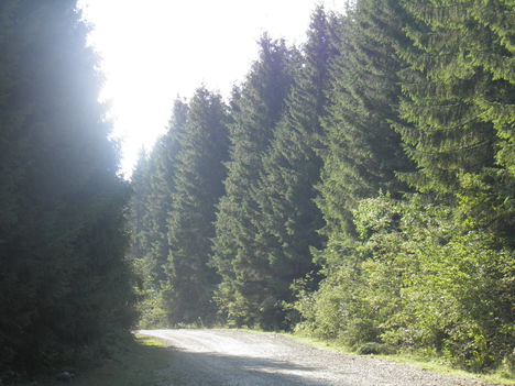 P8190008
