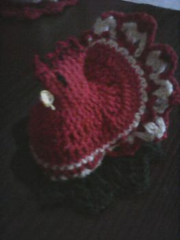 Photo0087