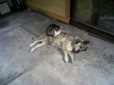 user_14038450_1264608870408_box2