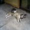 user_14038450_1264608870408_box2