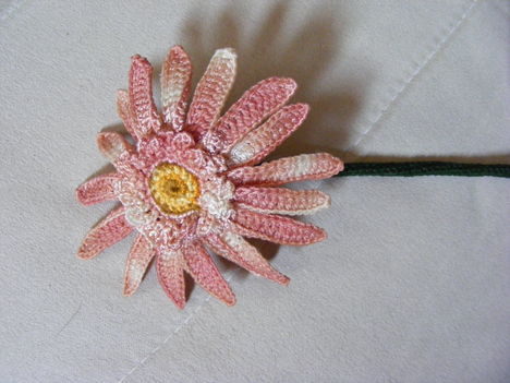 gerbera1