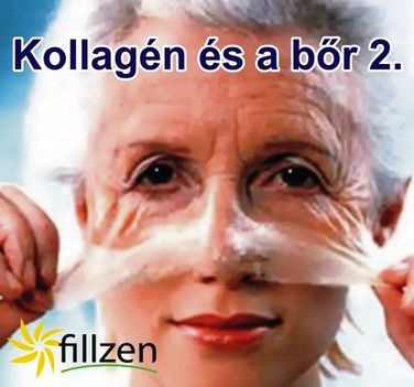 fillzen unilevel 5