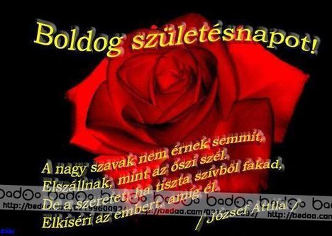 kívánságok és egyebek mamoca2 képei 27