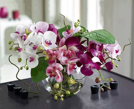 színes orchidea virágok 1