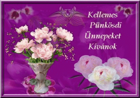 pnksdre2014kisebb