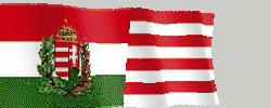 nemzeti_szineinkhihetsz_az_embernek_415409_34903_n