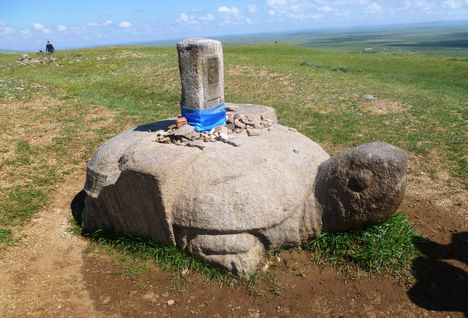 Kőteknős, Mongólia, Harhorin (Karakorum), 2015. június 29.-én