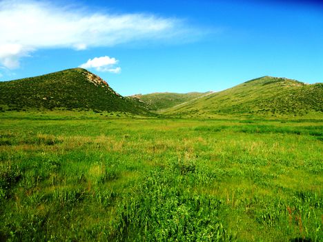 Természetvédelmi terület, a Herlen folyó vízgyűjtőterületén, Mongólia, 2015. június 21.-én