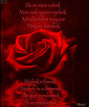 szépek rózsák idézetekkel 29
