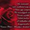 szépek rózsák idézetekkel 50