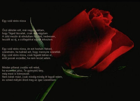 szépek rózsák idézetekkel 55