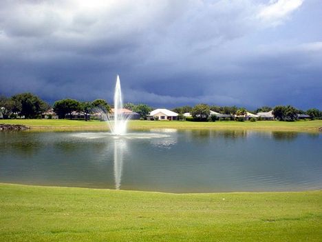 Uralkodva a táj felett.Florida