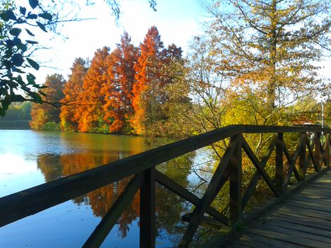 20161104_095333