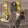 Cila51_0166_1511536_4676_t