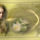 Cila51_0181_1511493_3635_t