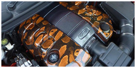 Hydrographics,Water,Transfer,Printing 4