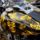 Hydrographicswatertransferprinting_59_1511993_7125_t