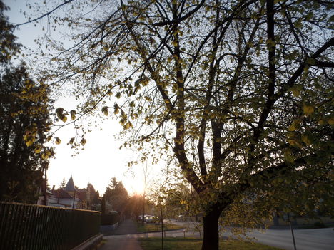 SZOMBATHELY 4