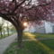 SZOMBATHELY 5