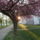 Szombathely_5-007_1511071_7308_t