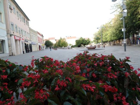 SZOMBATHELY 5