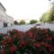 SZOMBATHELY 5