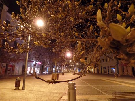 SZOMBATHELY 7