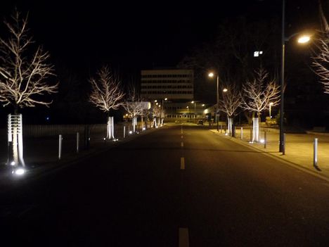 SZOMBATHELY 8