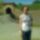 En-027_1512864_3094_t