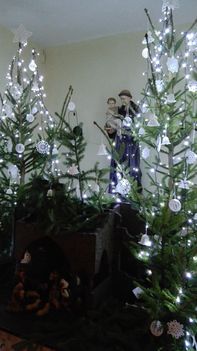 IMG_20161225_110104
