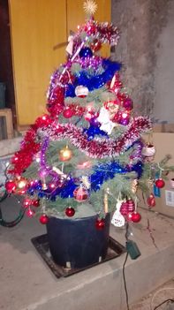 Karácsonyfa a kazánházban 20161225