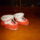 Katicas-001_1512985_1164_t