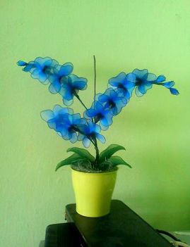 Kék orchidea