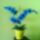 Kek_orchidea_1512538_1676_t