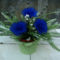 Közkedvelt kék rózsa:)