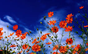 images (3)