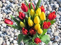 images (5)