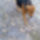 Img_20170103_094321_1513450_3833_t