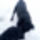 Img_20170120_081525_1513460_3807_t
